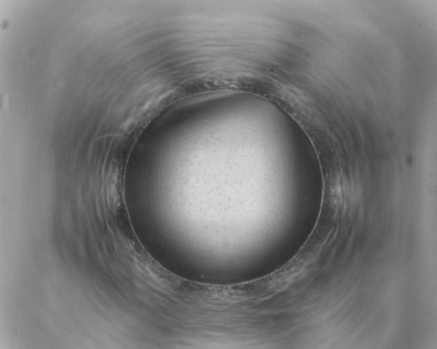 X0000087391060200705042005