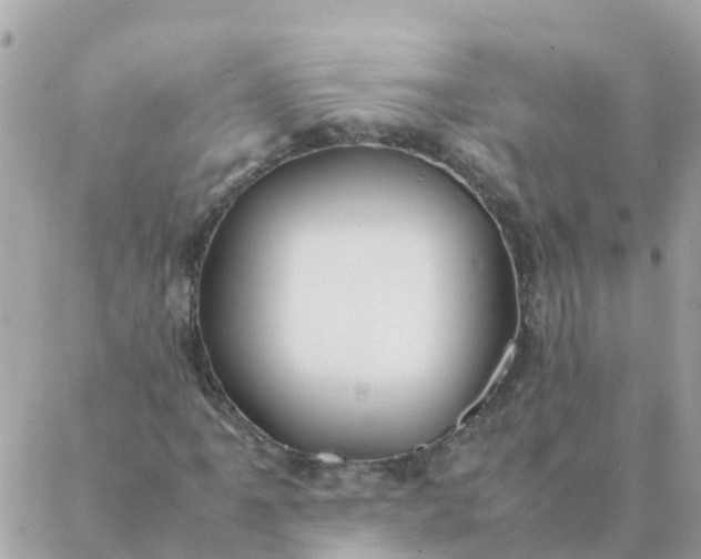 X0000087391061200705042005