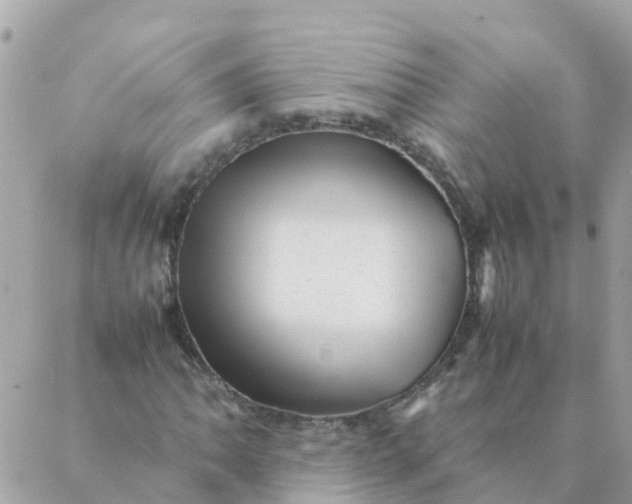 X0000087391062200705042005