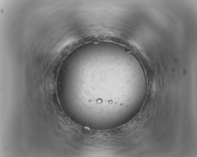 X0000087391063200705042005