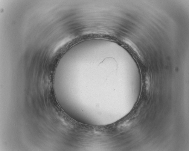 X0000087391064200705042005