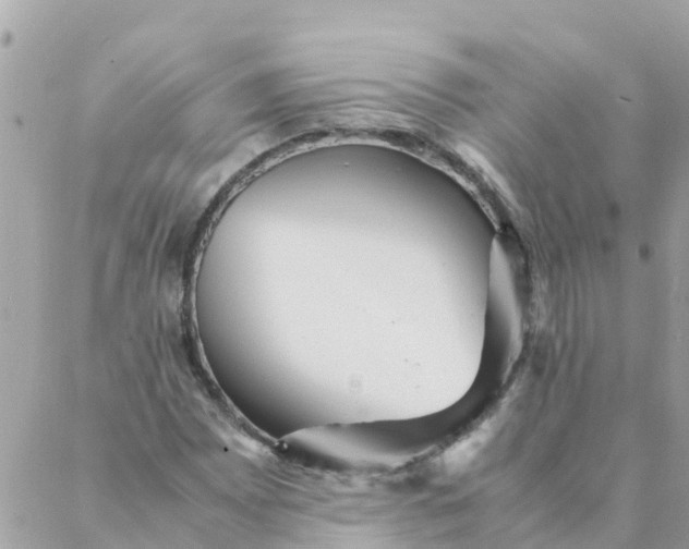 X0000087391065200705042005