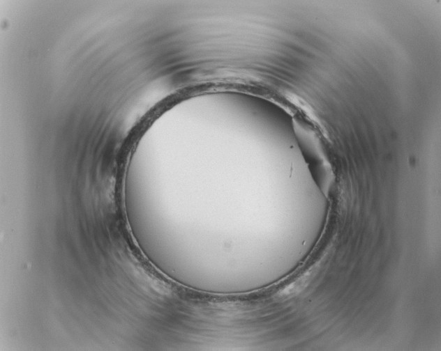 X0000087391066200705042005