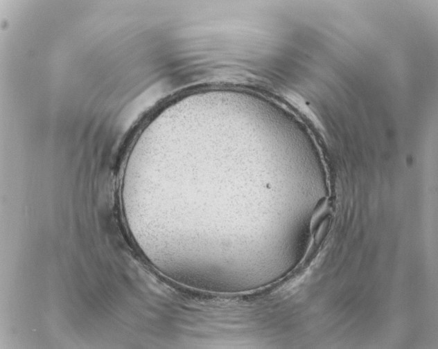 X0000087391067200705042005