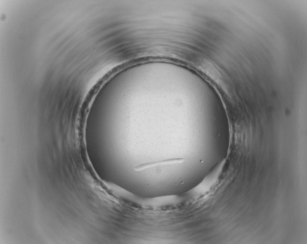 X0000087391068200705042005