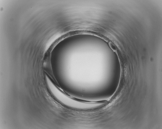 X0000087391069200705042004