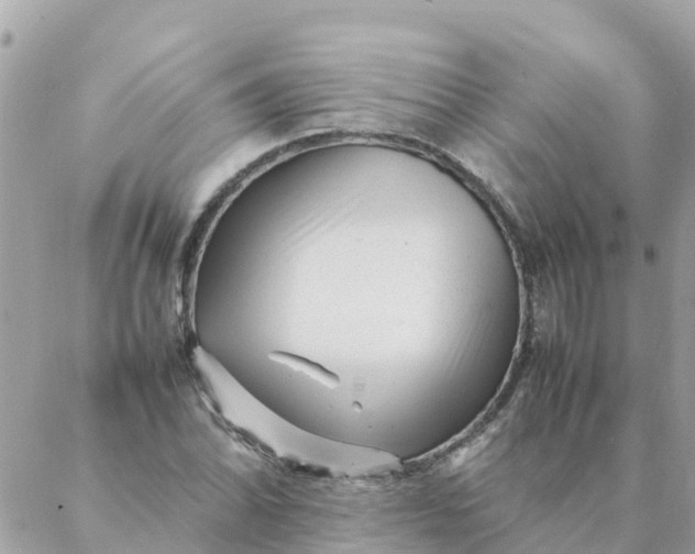 X0000087391070200705042004