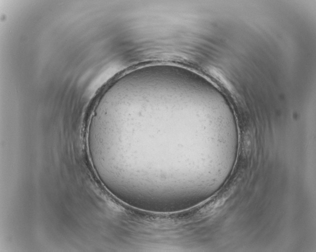 X0000087391071200705042004