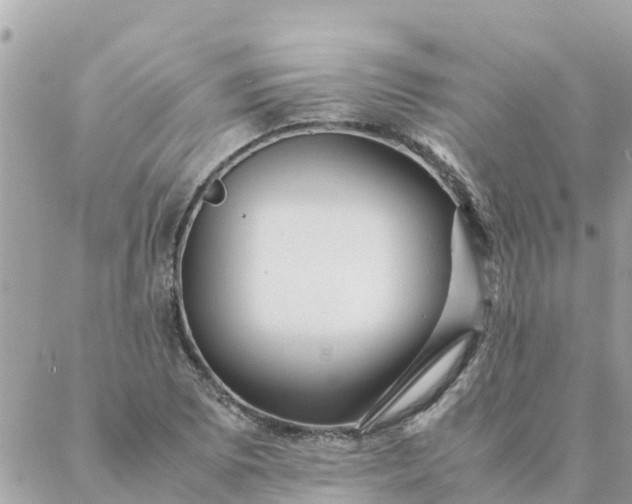 X0000087391073200705042004