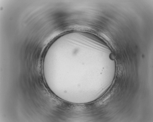 X0000087391074200705042004