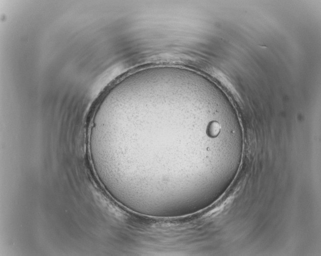 X0000087391075200705042004