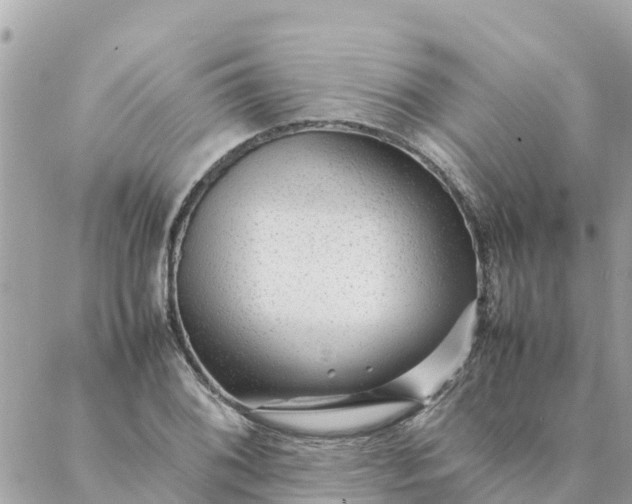 X0000087391076200705042004