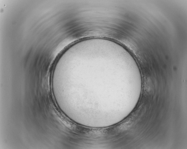 X0000087391078200705042004