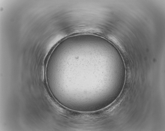 X0000087391079200705042004