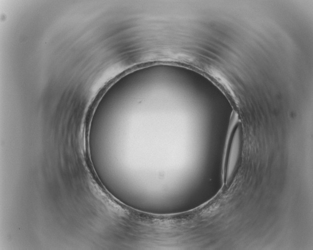 X0000087391080200705042004