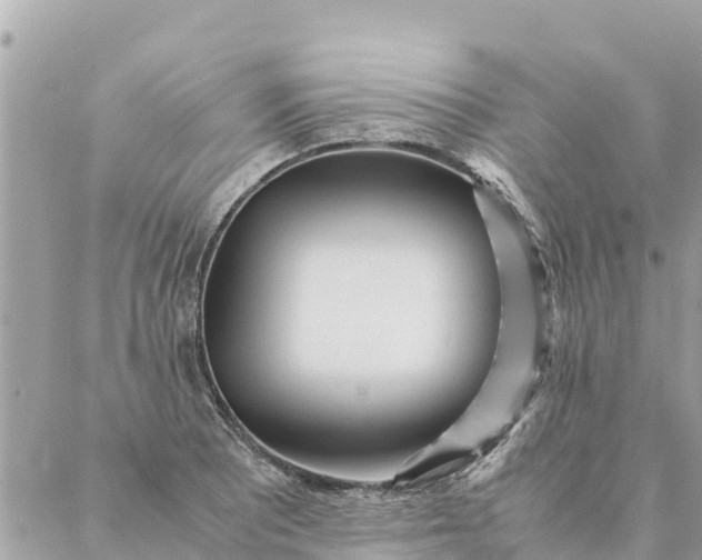 X0000087391081200705042004