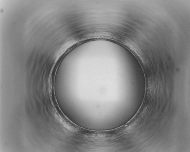 X0000087391082200705042004