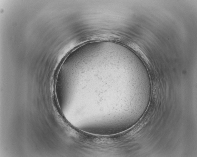 X0000087391083200705042004