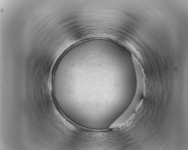 X0000087391084200705042004