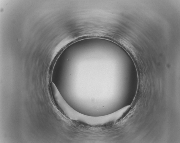 X0000087391085200705042004