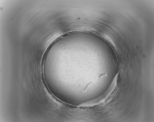 X0000087391087200705042004