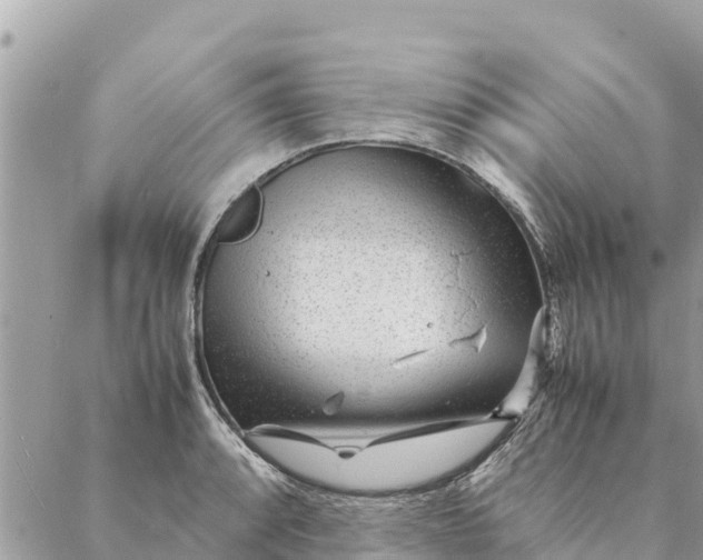 X0000087391088200705042004