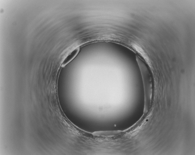 X0000087391089200705042004