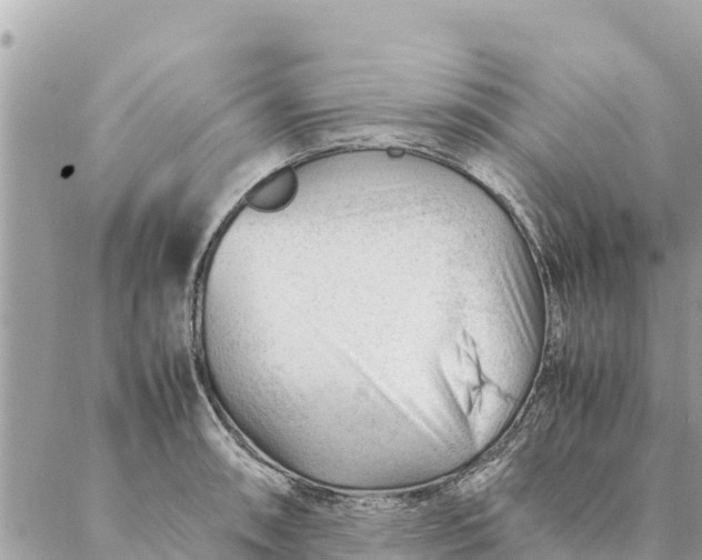 X0000087391090200705042004