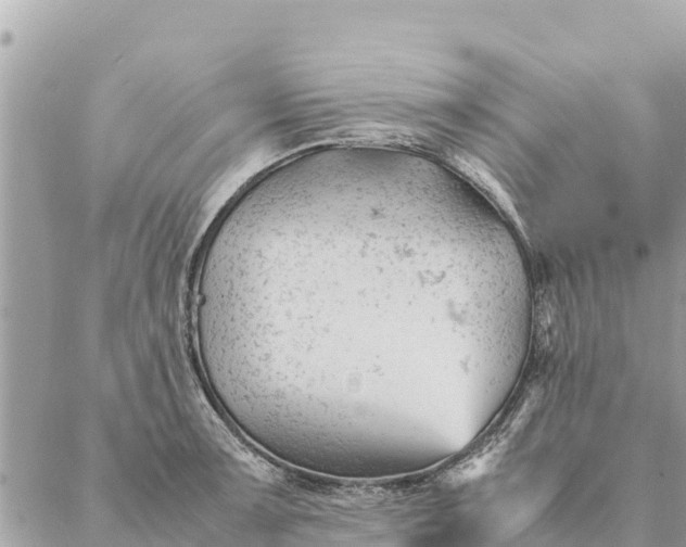 X0000087391091200705042004