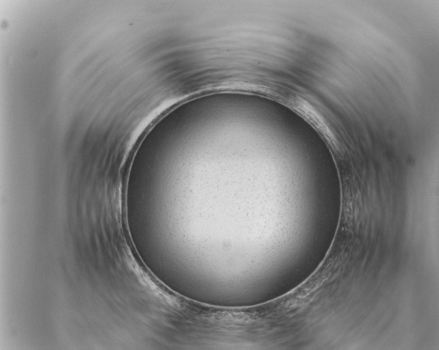 X0000087391092200705042004