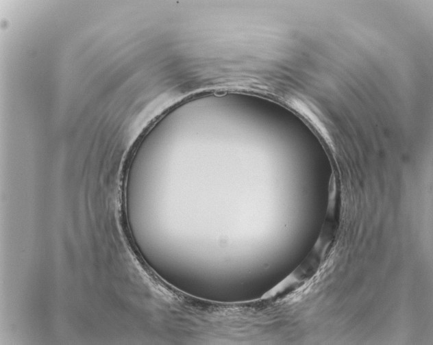 X0000087391093200705042004