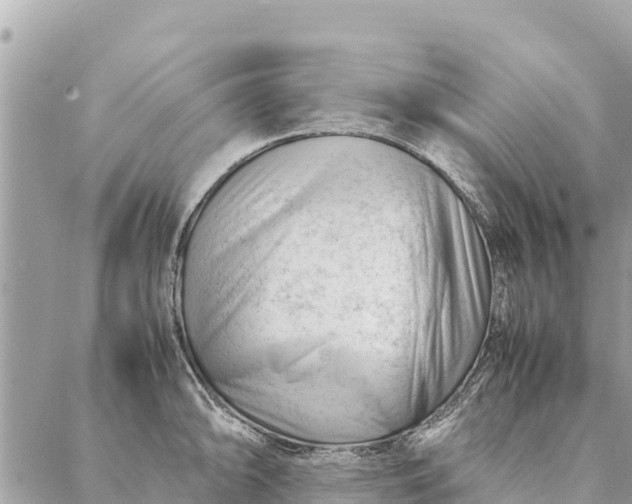 X0000087391094200705042004