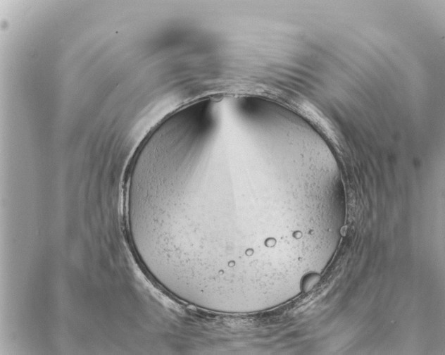 X0000087391095200705042004