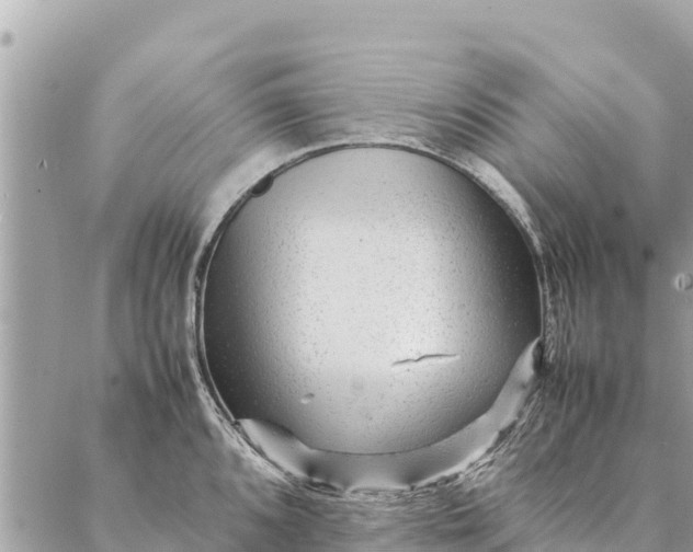 X0000087391096200705042004