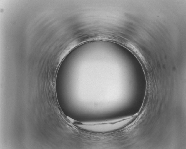 X0000087391097200705042004