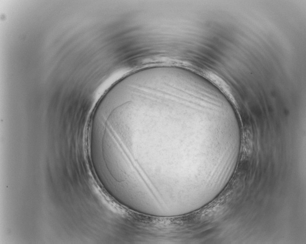 X0000087391098200705042004