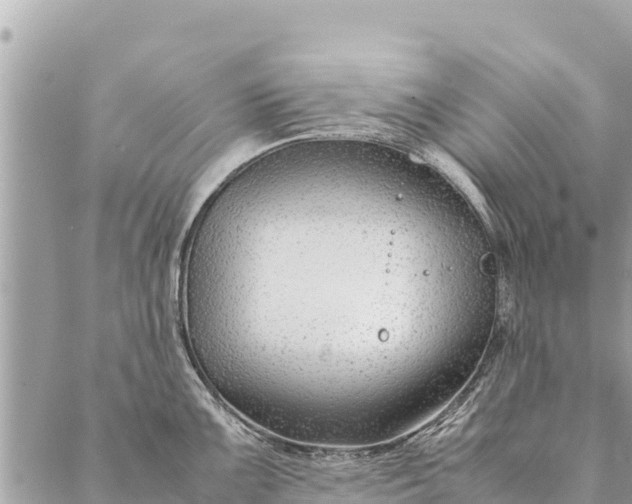 X0000087391099200705042004