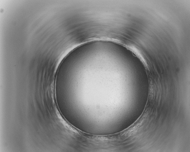 X0000087391100200705042004