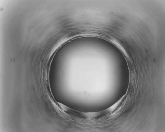 X0000087391101200705042004