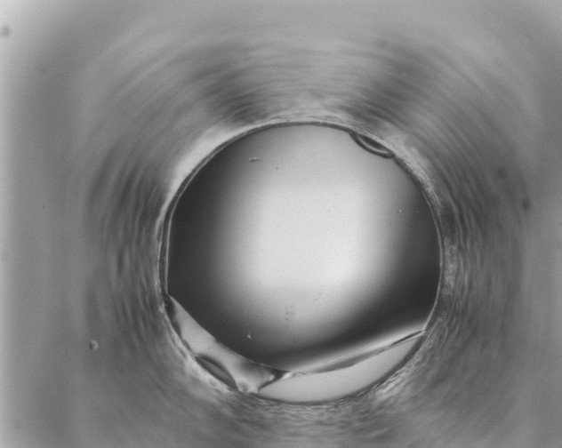 X0000087391102200705042004