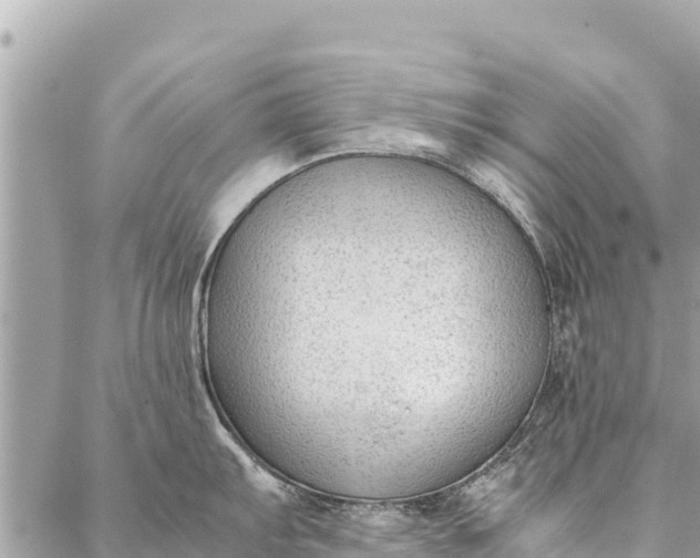 X0000087391103200705042004