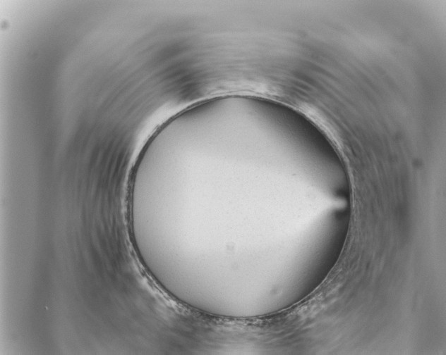 X0000087391104200705042004