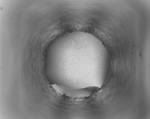 X0000087391105200705042003