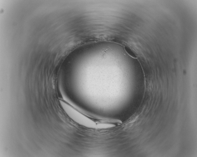 X0000087391106200705042003