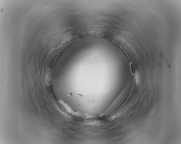 X0000087391107200705042003