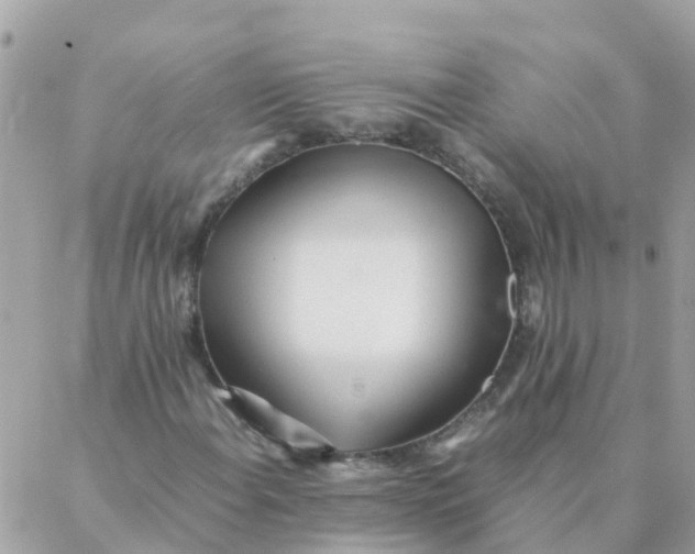 X0000087391108200705042003