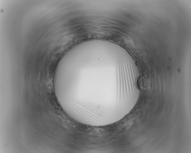 X0000087391109200705042003