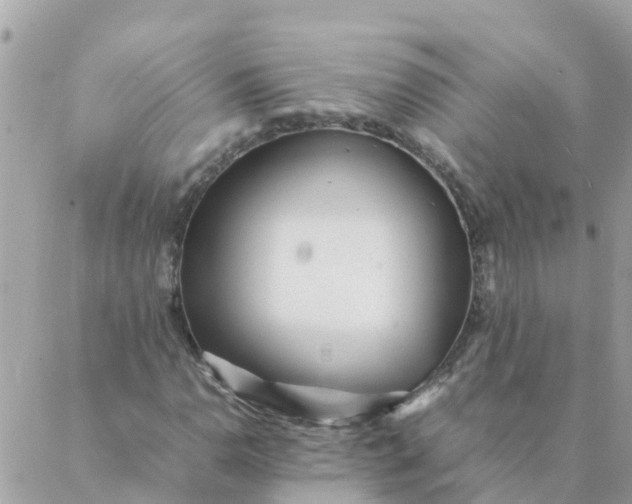 X0000087391110200705042003