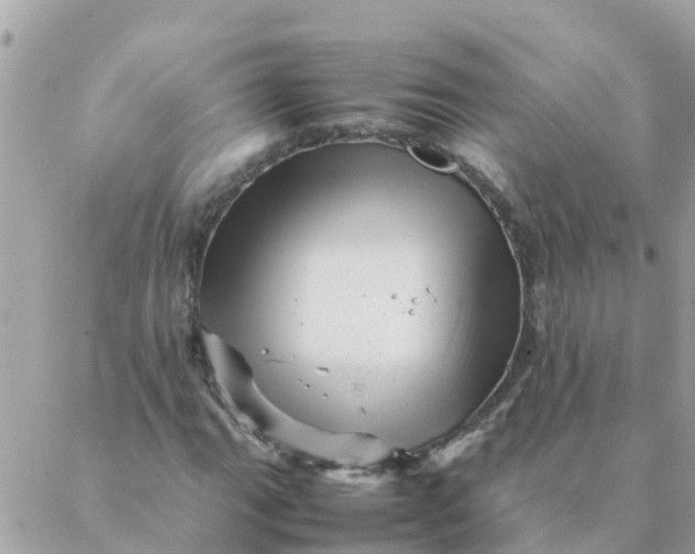 X0000087391111200705042003