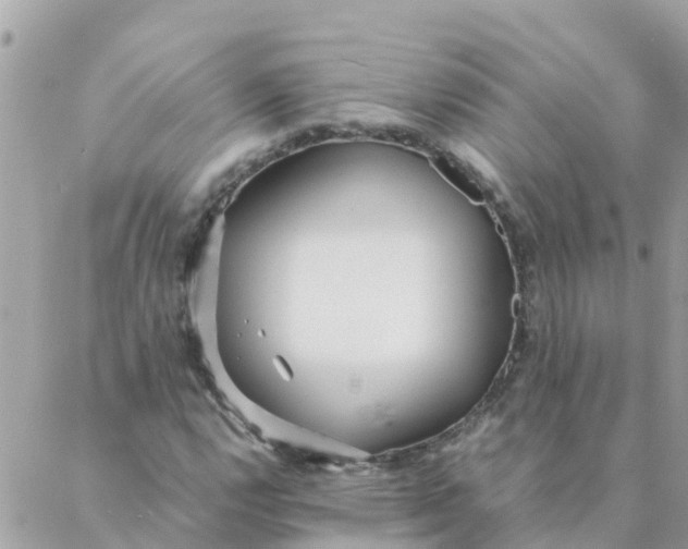 X0000087391112200705042003